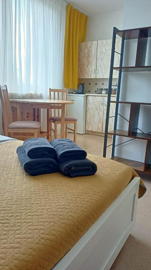 Kawalerka Czestochowa 17 Apartment Екстериор снимка